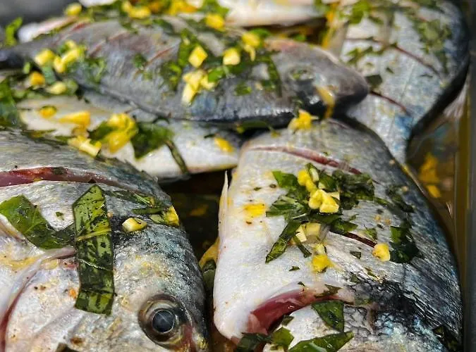 Resort Miqt - Orikum